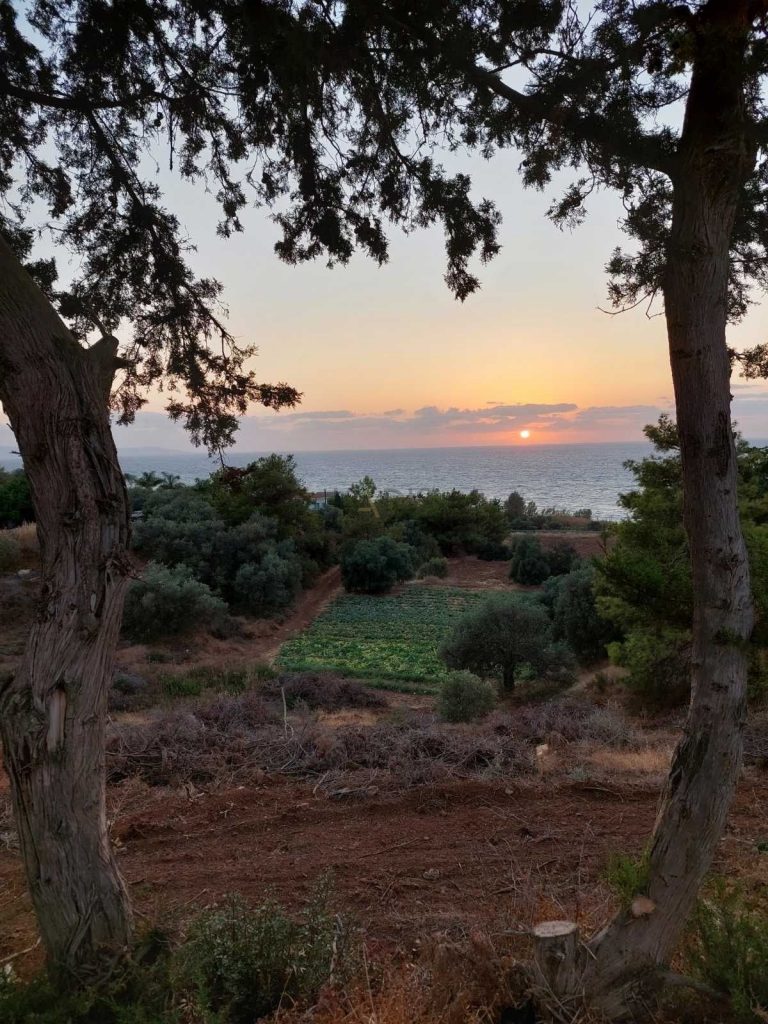 3,226m² Plot for Sale in Pomos, Paphos District