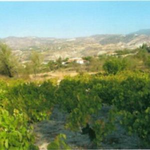 3,301m² Plot for Sale in Laneia, Limassol District