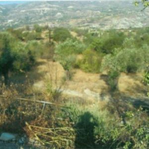 3,301m² Plot for Sale in Laneia, Limassol District