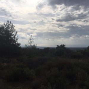 8,362m² Plot for Sale in Souni, Limassol District