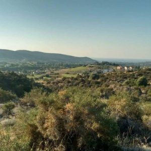 14,138m² Plot for Sale in Monagroulli, Limassol District