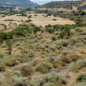 5,859m² Plot for Sale in Pissouri, Limassol District