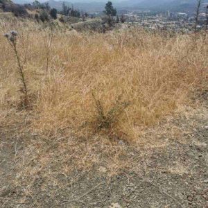 3,011m² Plot for Sale in Eptagoneia, Limassol District