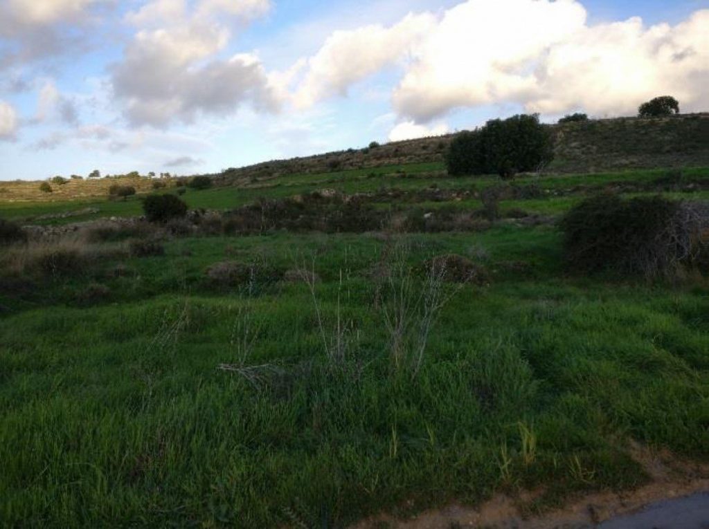 6,689m² Plot for Sale in Anogyra, Limassol District