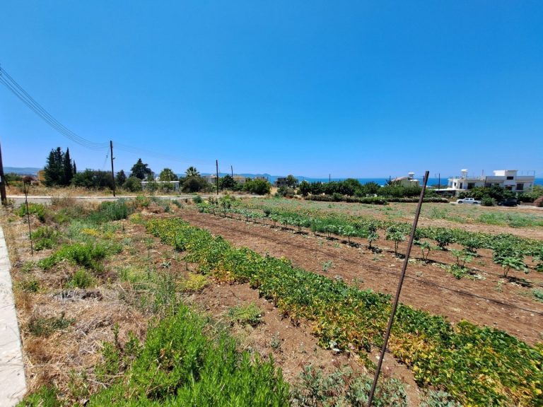 551m² Plot for Sale in Argaka, Paphos District