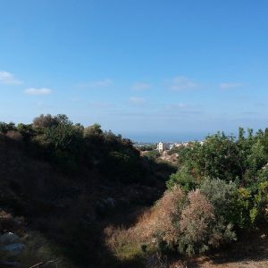 1,338m² Plot for Sale in Peyia, Paphos District