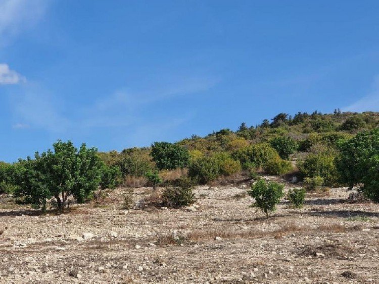 6,689m² Plot for Sale in Koili, Paphos District