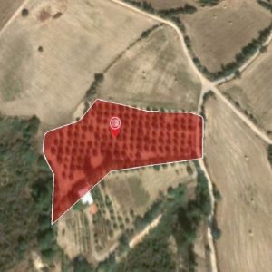 6,740m² Plot for Sale in Goudi, Paphos District