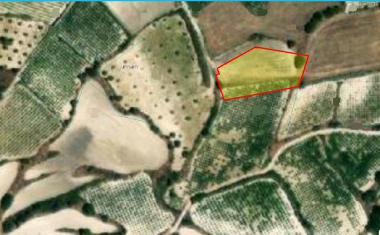1,998m² Plot for Sale in Letymvou, Paphos District