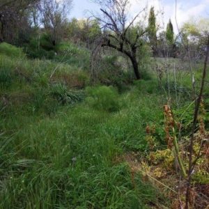 1,673m² Plot for Sale in Letymvou, Paphos District