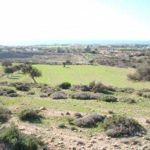 12,496m² Plot for Sale in Peyia, Paphos District