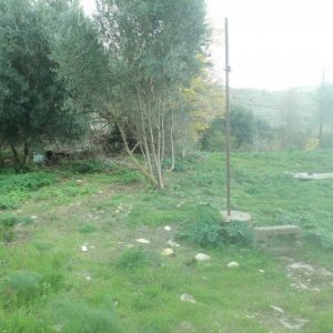 298m² Plot for Sale in Episkopi Pafou, Paphos District