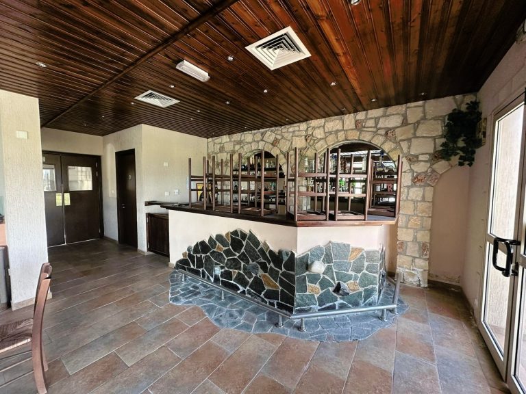 521m² Commercial for Sale in Timi, Paphos District