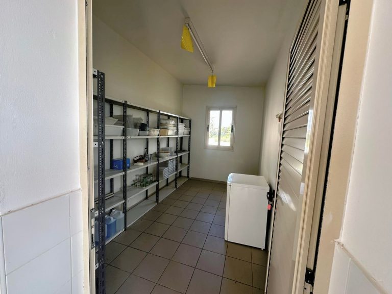 521m² Commercial for Sale in Timi, Paphos District