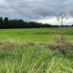 2,640m² Plot for Sale in Nikokleia, Paphos District