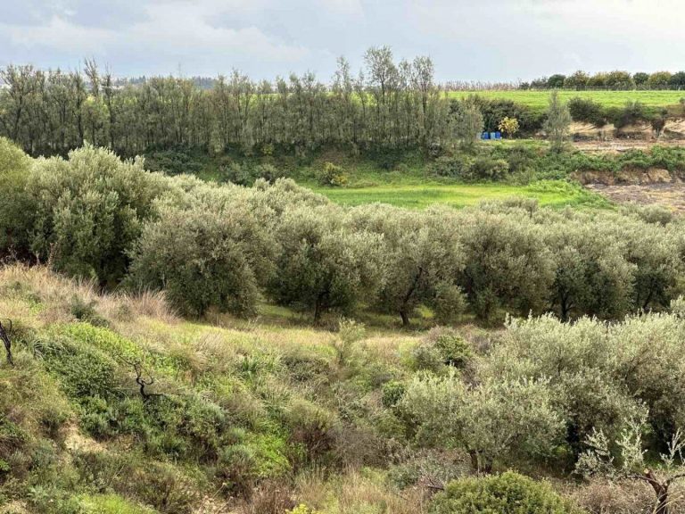 2,610m² Plot for Sale in Nikokleia, Paphos District