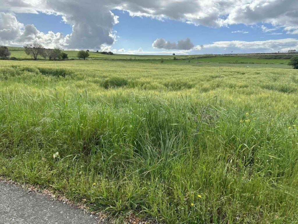 5,040m² Plot for Sale in Anarita, Paphos District