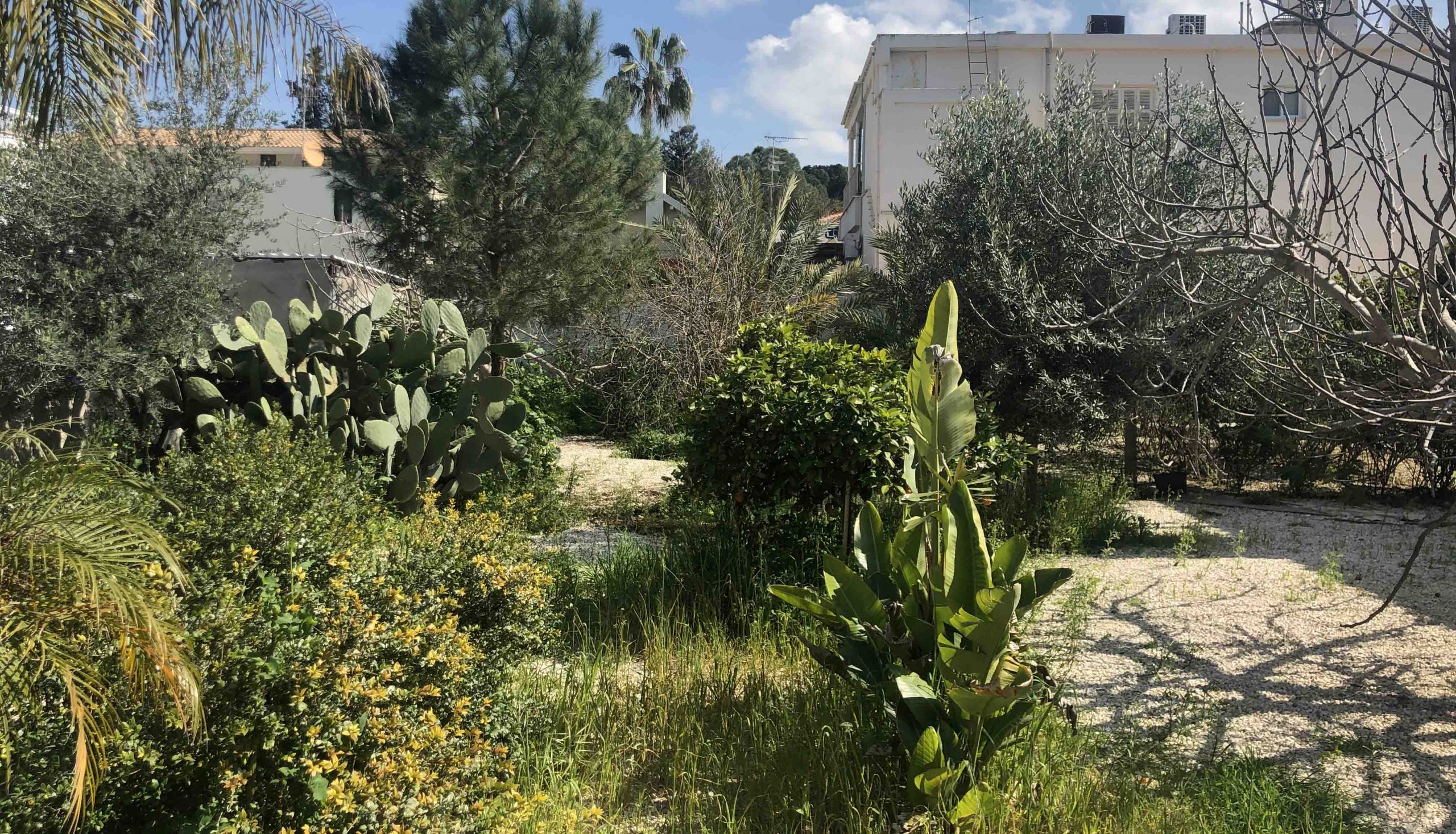 3 Bedroom House for Sale in Nicosia – Agios Andreas