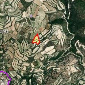 3,972m² Plot for Sale in Koili, Paphos District