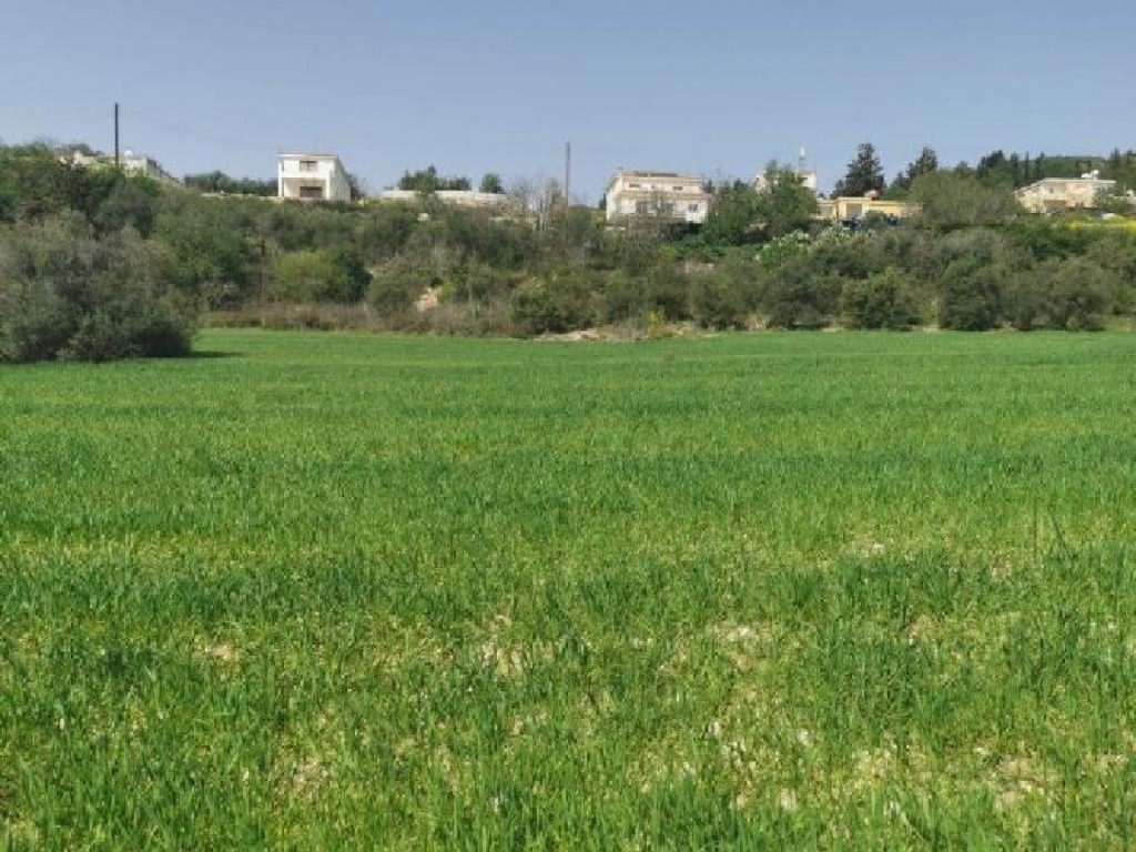 2,934m² Plot for Sale in Theletra, Paphos District