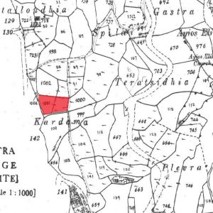 2,934m² Plot for Sale in Theletra, Paphos District