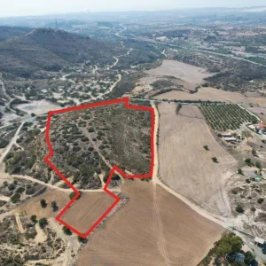 39,131m² Commercial Plot for Sale in Choirokoitia, Larnaca District
