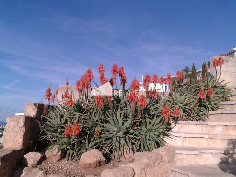 5 Bedroom House for Sale in Geroskipou, Paphos District