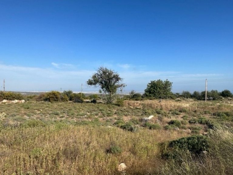 15,051m² Plot for Sale in Paramali, Limassol District