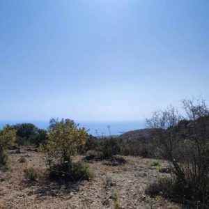 4,014m² Plot for Sale in Koili, Paphos District