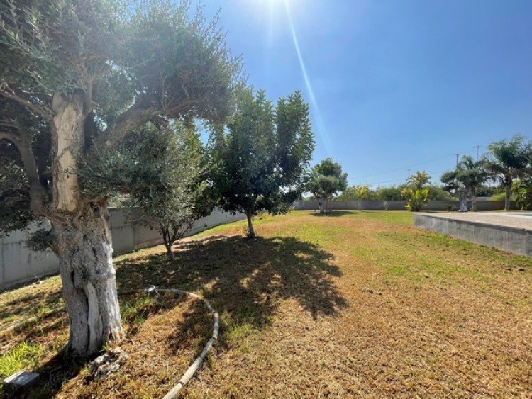 4 Bedroom House for Rent in Ypsonas, Limassol District