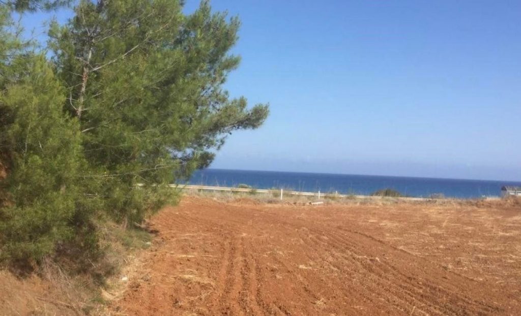 10,374m² Plot for Sale in Nea Dimmata, Paphos District