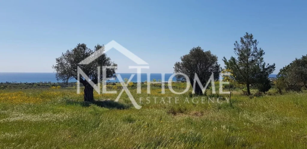 6,355m² Plot for Sale in Paphos – Agios Theodoros, Larnaca District