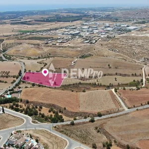 8,443m² Plot for Sale in Anarita, Paphos District