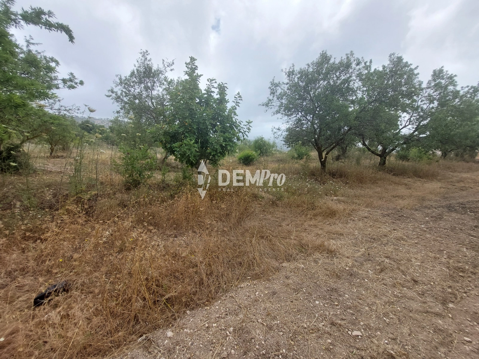 2,970m² Plot for Sale in Armou, Paphos District