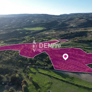 26,273m² Plot for Sale in Choulou, Paphos District
