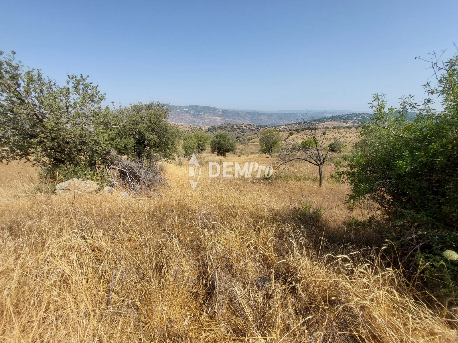 3,675m² Plot for Sale in Pentalia, Paphos District