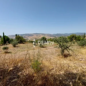 7,020m² Plot for Sale in Lasa, Paphos District