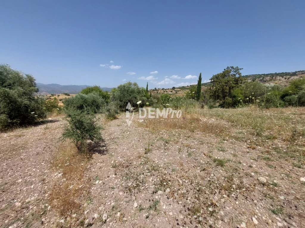 7,020m² Plot for Sale in Lasa, Paphos District