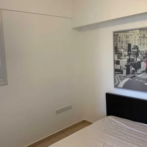 1 Bedroom Apartment for Rent in Nicosia District