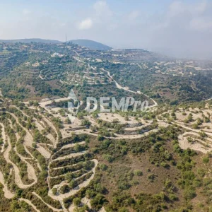 10,703m² Plot for Sale in Koili, Paphos District