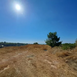 4,000m² Plot for Sale in Limassol District