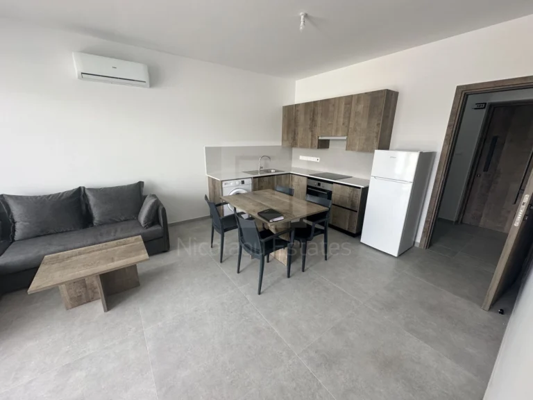 Cheap Apartments for Rent Nicosia up to 800 euro