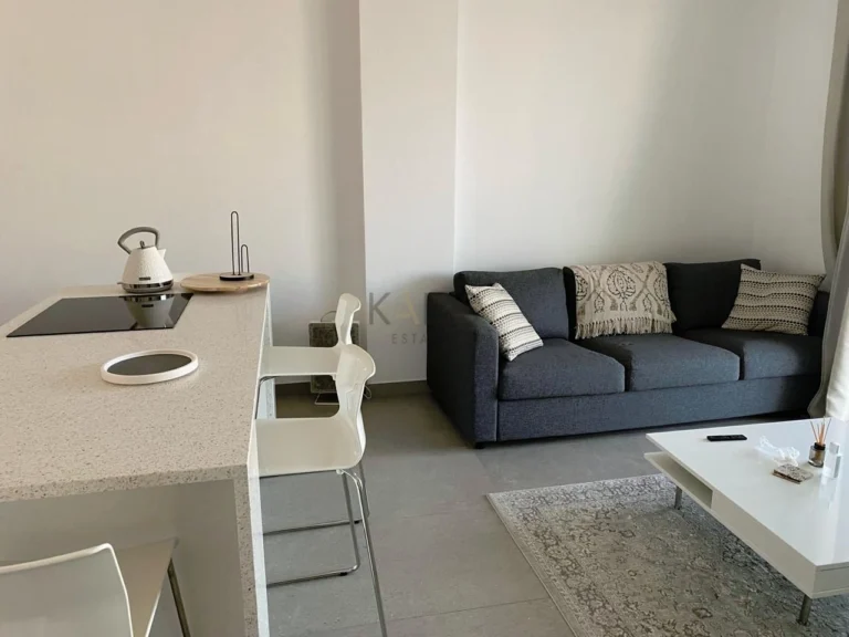 Cheap Apartments for Rent Nicosia up to 1000 euro