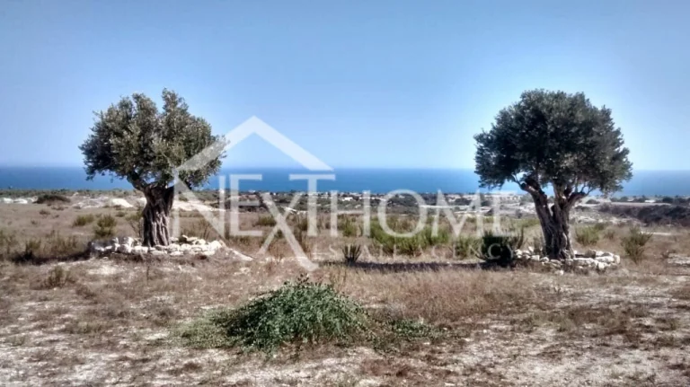 12,260m² Plot for Sale in Paphos – Agios Theodoros, Larnaca District