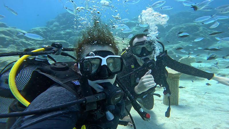 Drive and Dive with Mario