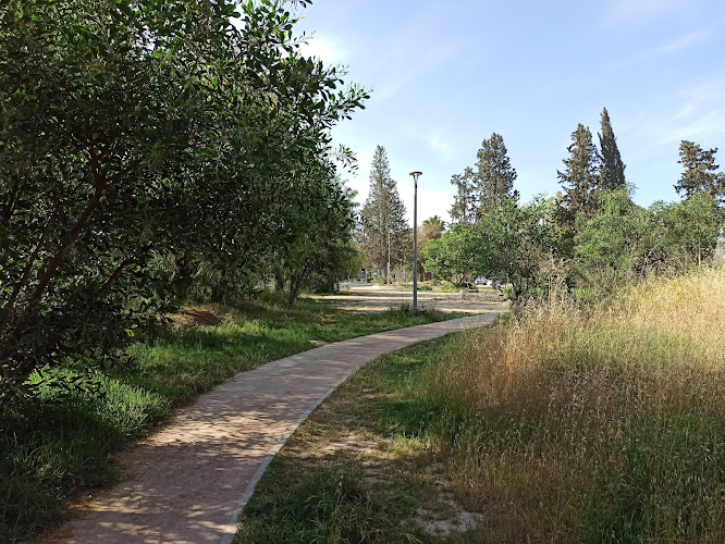 Park