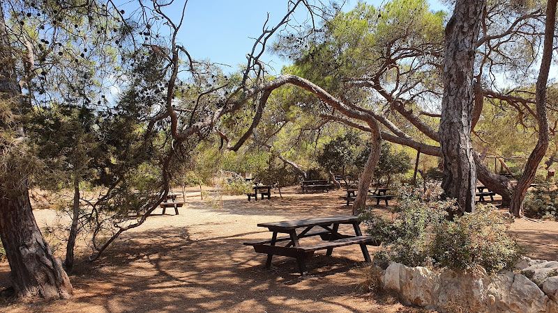 Picnic site in Peyia