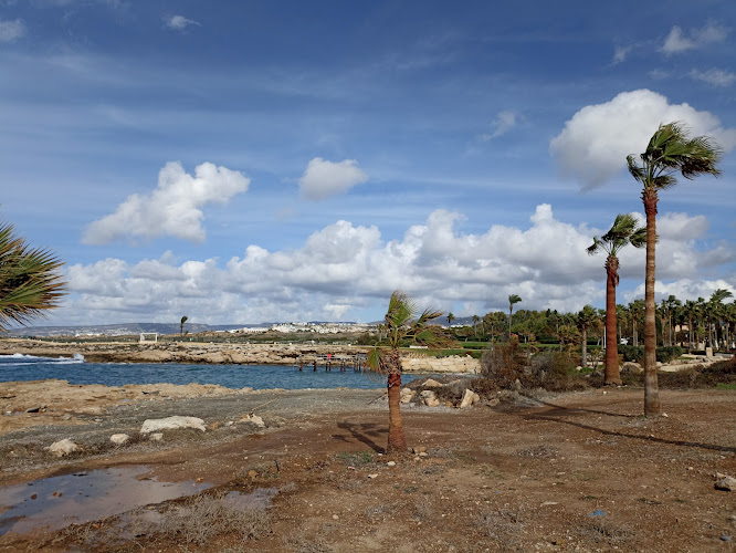 Coastal Broadwalk