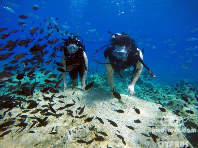 IPA DIVERS CYPRUS – polskie centrum nurkowe na Cyprze