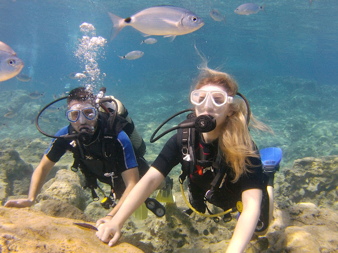 SCUBA Dive Cyprus